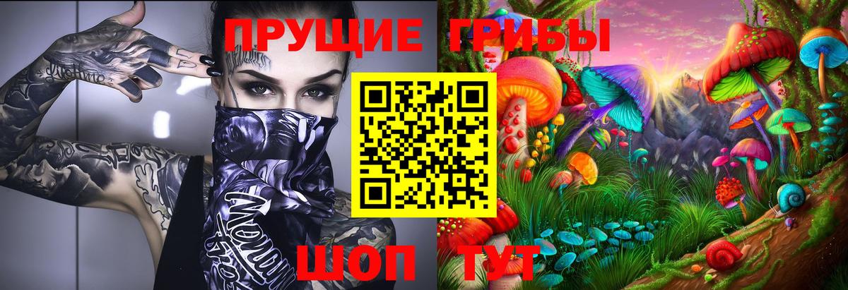 Галлюциногенные грибы Psilocybe Добрянка